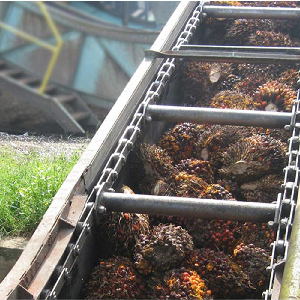 Palm Oil Mill Conveyor Chain